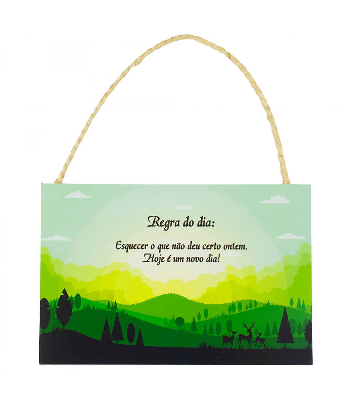 Placa Decorativa Regra Do Dia Esquecer O Que Não Deu Certo Ontem 20x30cm