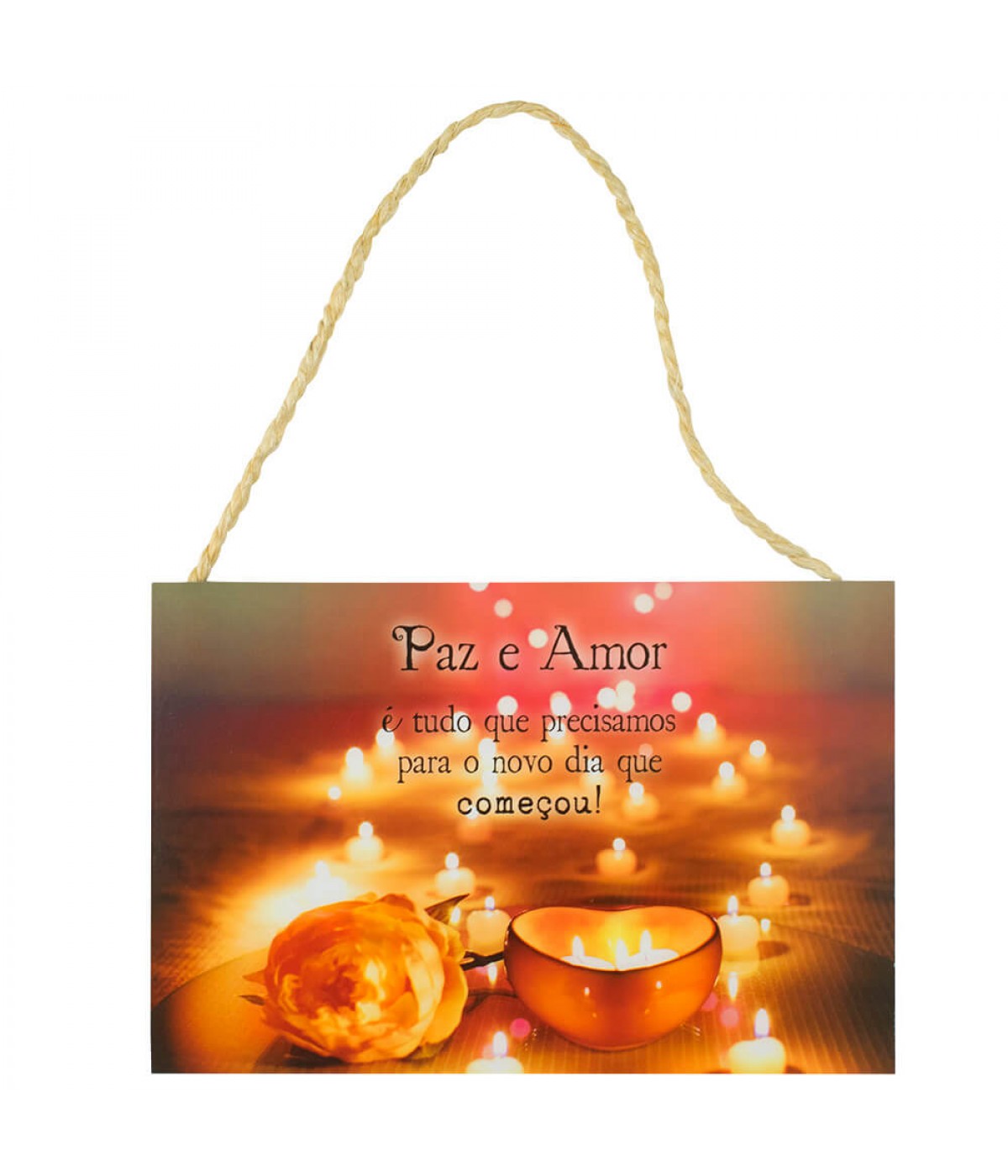 Placa Decorativa Paz E Amor É Tudo Que Precisamos 20x30cm